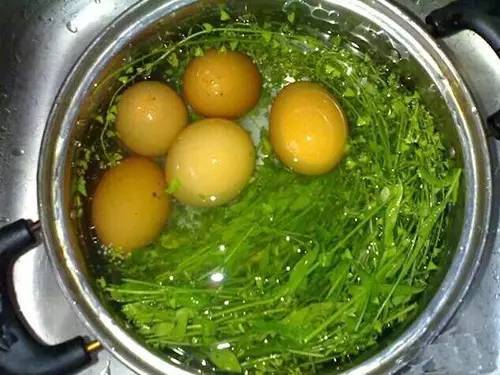 估计鸡蛋熟了,用筷子把蛋壳敲破些再接着煮一会,地菜的清香就煮进鸡蛋