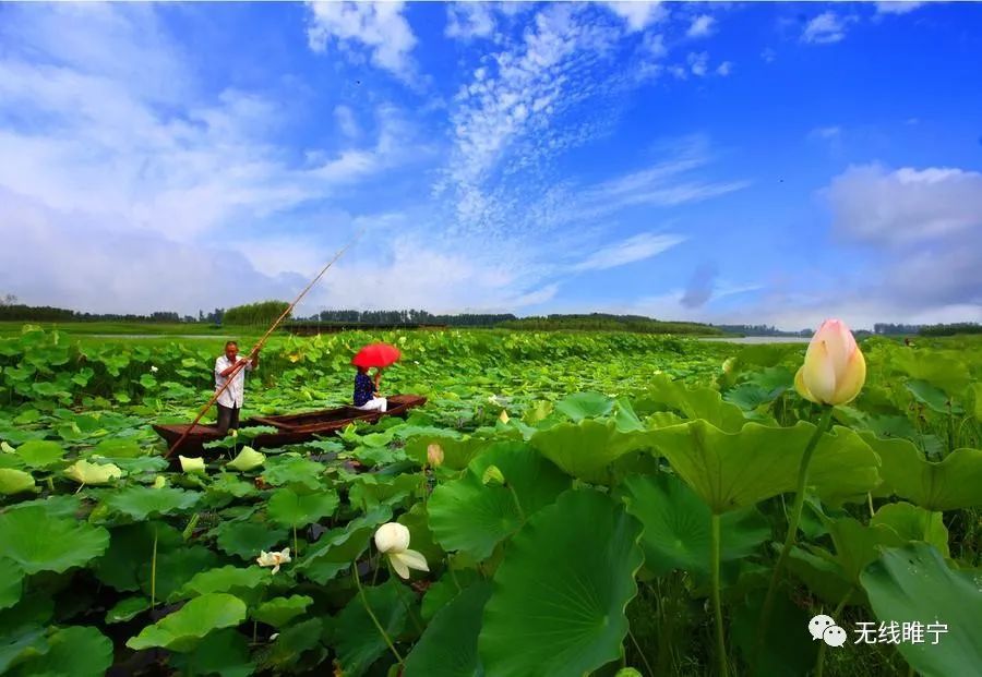 新春新开局方向明确姚集镇将重点发力这些产业