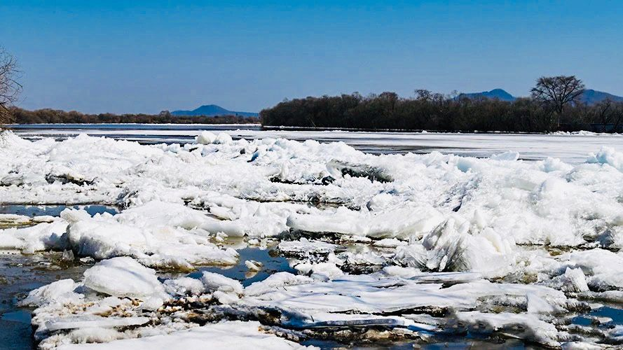 文化森工东方红乌苏里江珍宝岛段出现武开江