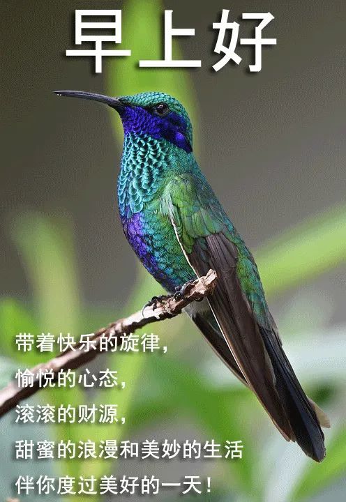 4月27日周三问候大家早上好的早安暖心祝福句子,微信早上好问候图片带