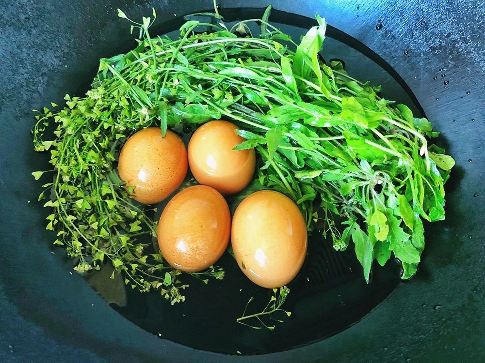 又到三月三这种野菜即便老了也要摘点用它煮鸡蛋一年一次