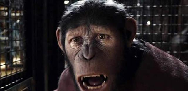 为了尽快实现这个邪恶的构想,孕育出梦想中人类与猩猩结合的力大无穷