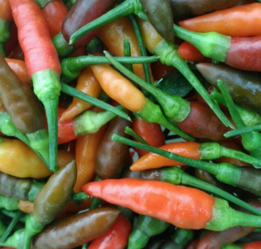 世界上最辣的十大辣椒能辣个菊花朵朵开