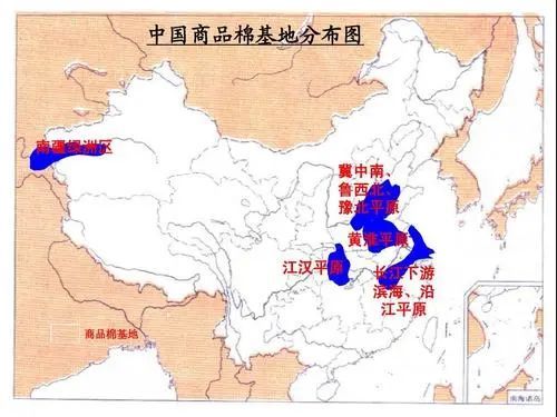 高考地理常考的全球十大棉花生产国