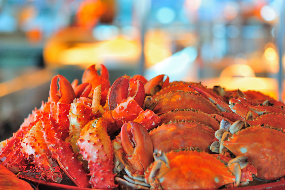 五星级酒店自助餐攻略,享受沈阳海鲜之夜,光是头盘就吃回一票