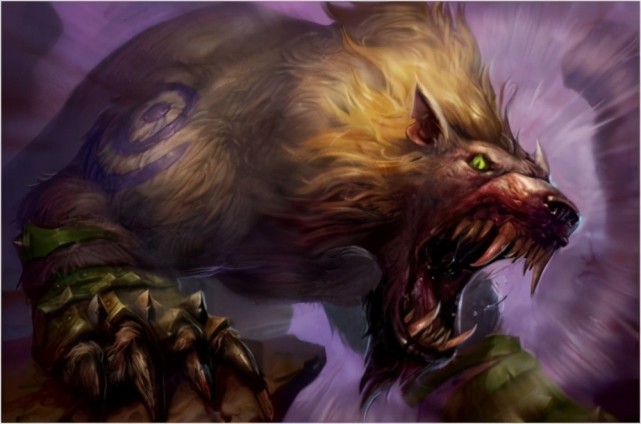 不是熊主t,肯定那个猫切t.宝贵的近战dps坑没可能给猫的.