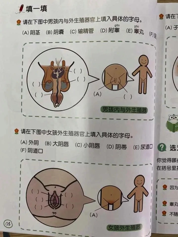 和陈璐相比,同为四年级孩子家长的林妈面对儿子的性教育相当淡定.