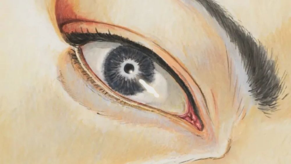 玉川真吾puparia蛹梦