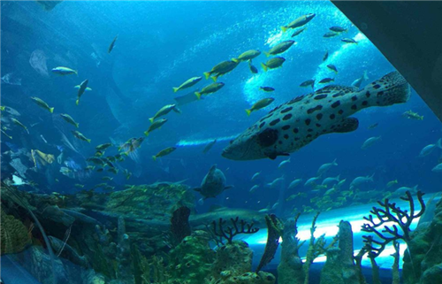 他将14吨玉石雕成"东海龙宫",看清细节后,专家:价值难以估量