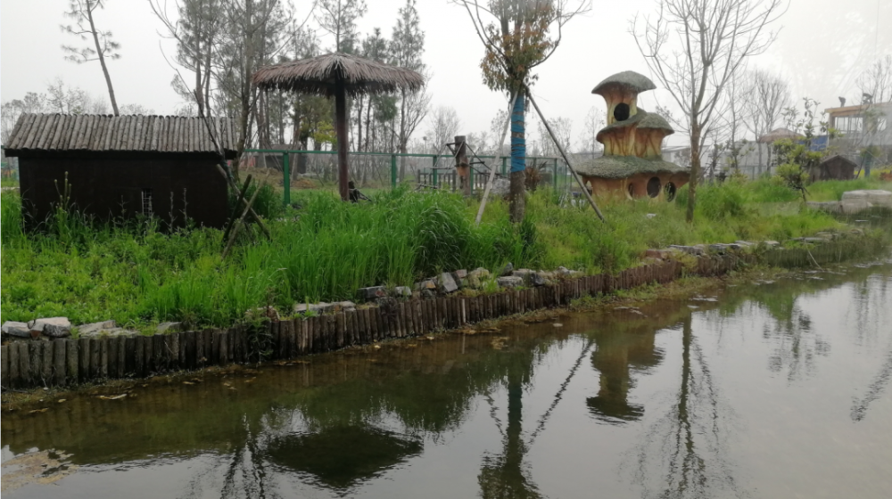 春遊江淮請您來丨阜陽野生動物園來了!