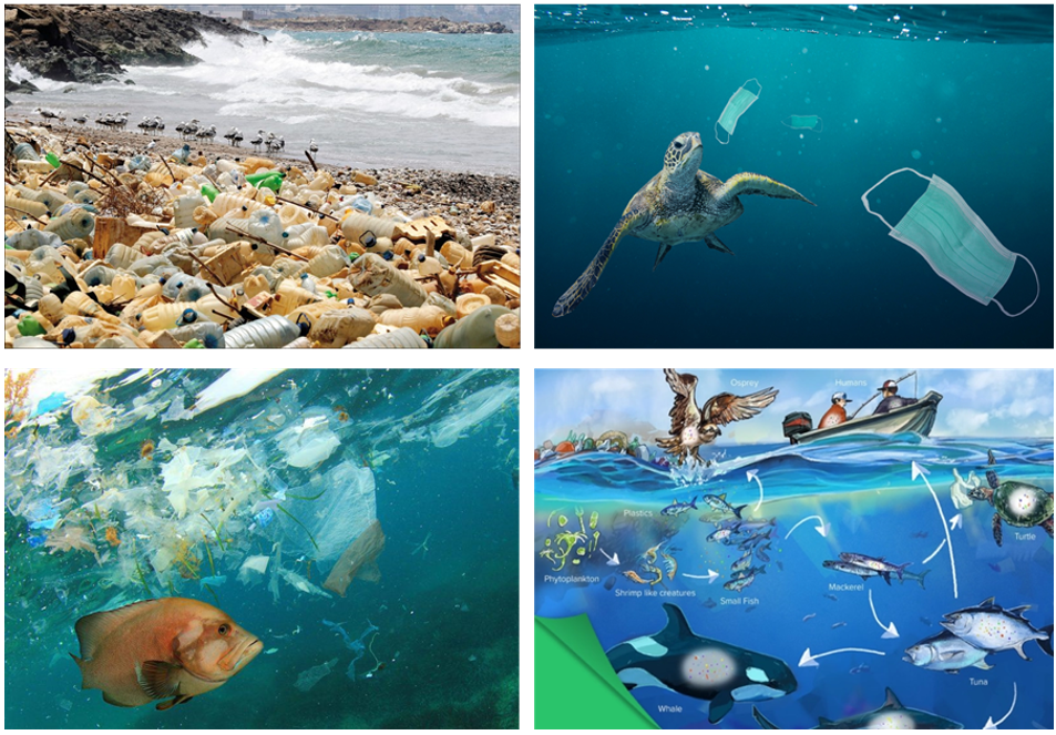 李巨教授 朱美芳院士 乔金樑教授联手 微波辐照8秒 塑料变燃料 腾讯新闻