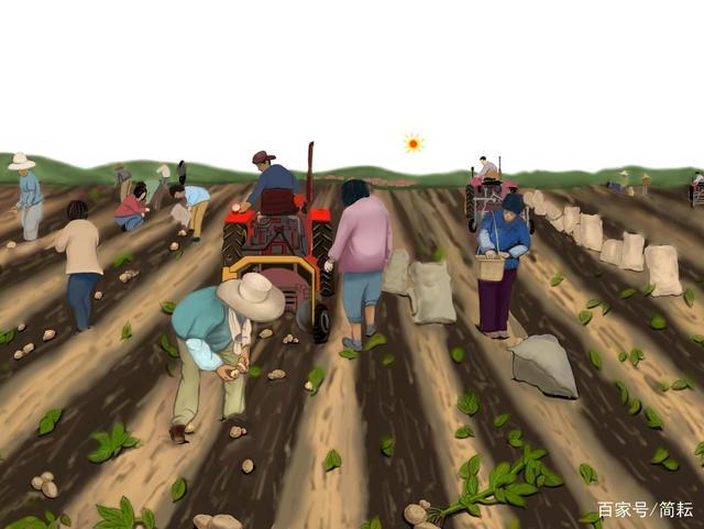 播种时间选错一年白忙活