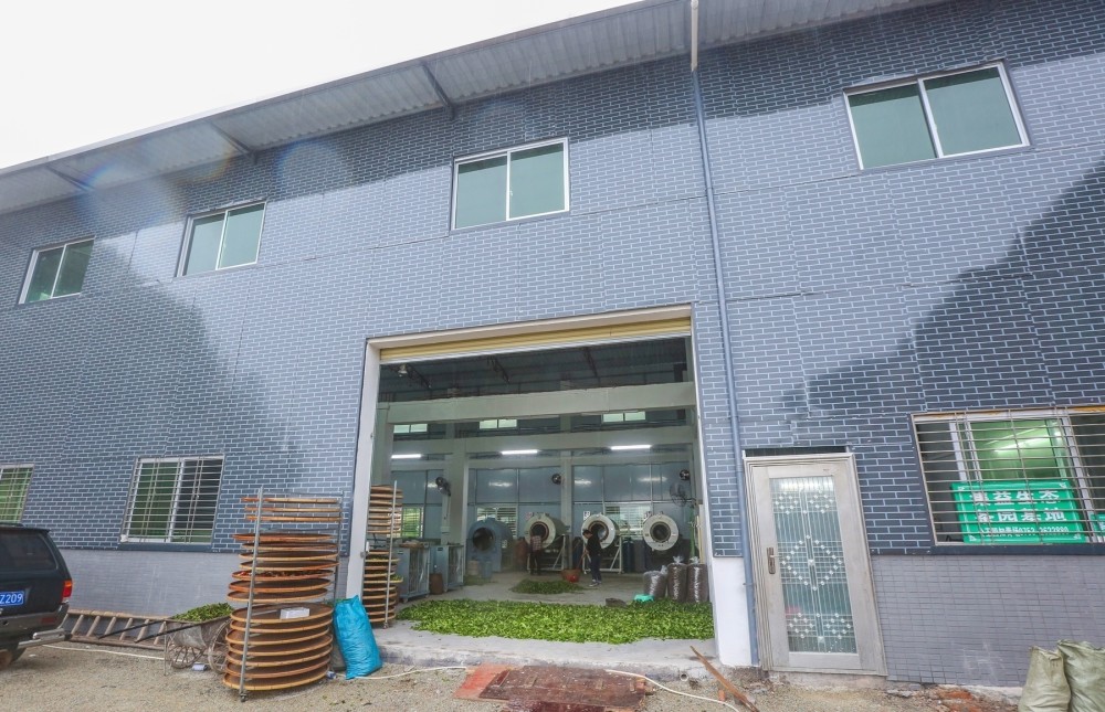 好政策好工艺梅江区加快推动茶叶省级现代农业产业园建设