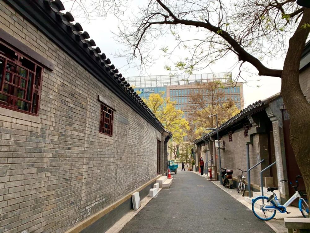 西城区老胡同大变身有了微循环和口袋公园