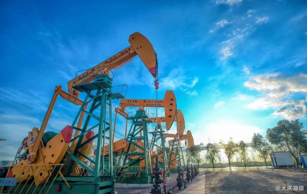 关于大庆网站建设费用价格的信息