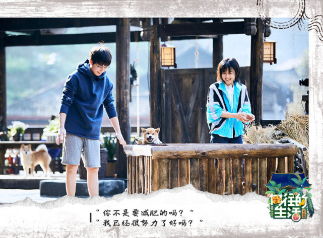 向往的生活5一家五口齐聚桃花源小绵羊老狐狸邂逅蘑菇屋