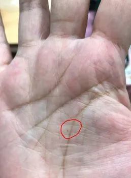 爱犬去世后,她突然怀孕,彩超上浮现熟悉面孔,她瞬间泪崩