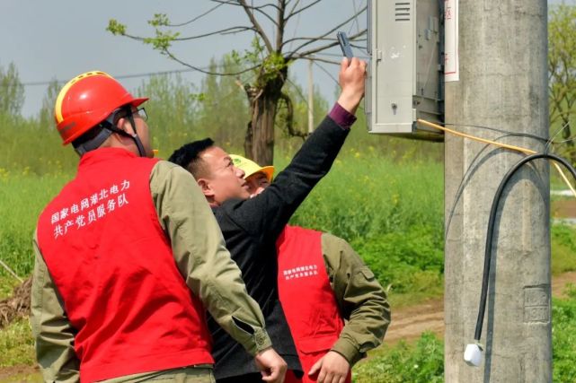 水好电足人勤劳看国网湖北老河口供电描绘王府洲乡村振兴画卷