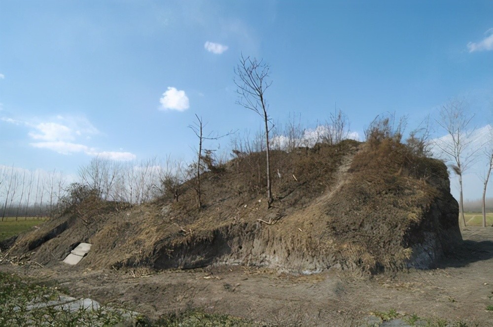 山东菏泽发现156座汉墓连成一片勘探面积达到48万平方米
