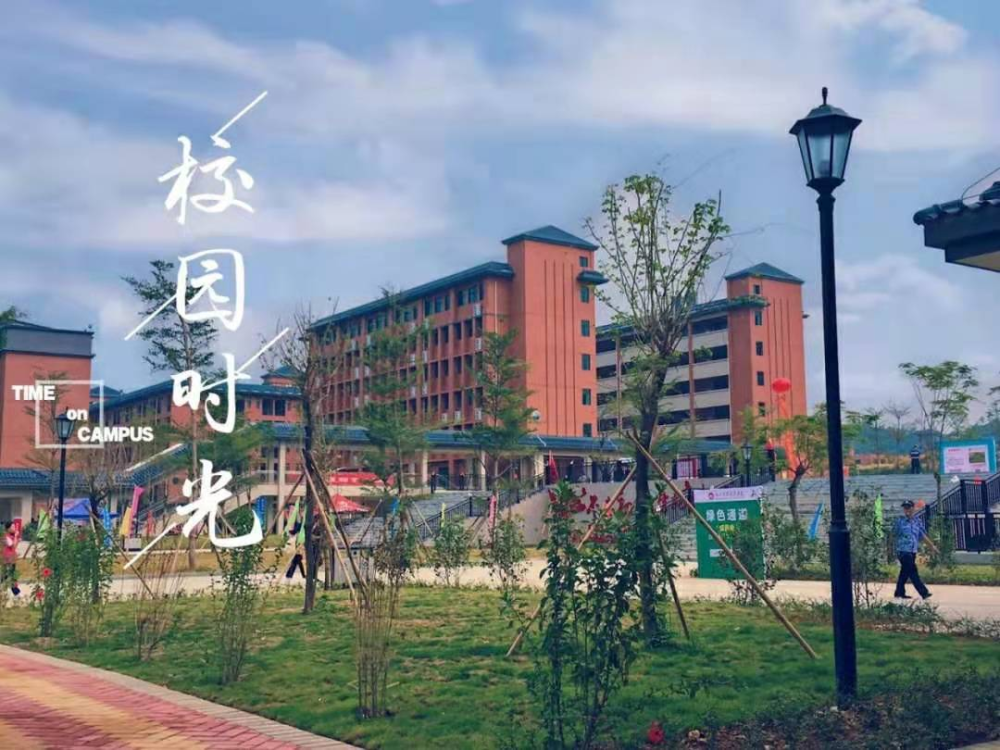 這個大學城被央視點名報道未來這裡將超過20所大學