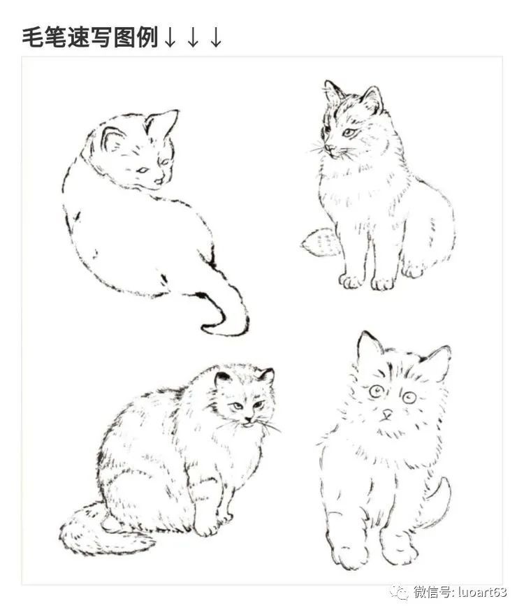 国画技法猫的基本画法与步骤