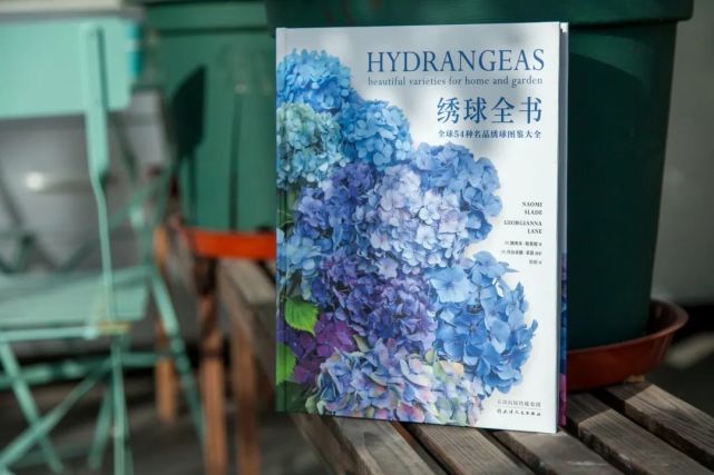 让爱花人疯狂的神仙颜值 都在这里了