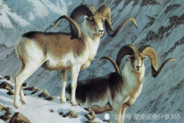21年十二星座周运双子座6 14 6 腾讯新闻