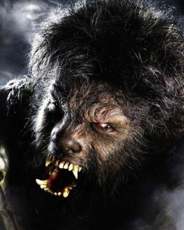 狼人曾载入法国历史国王重金通缉狼人半年时间将狼人种族灭绝