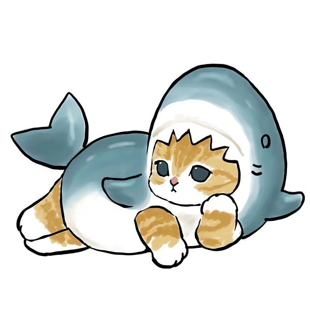 鯊魚貓