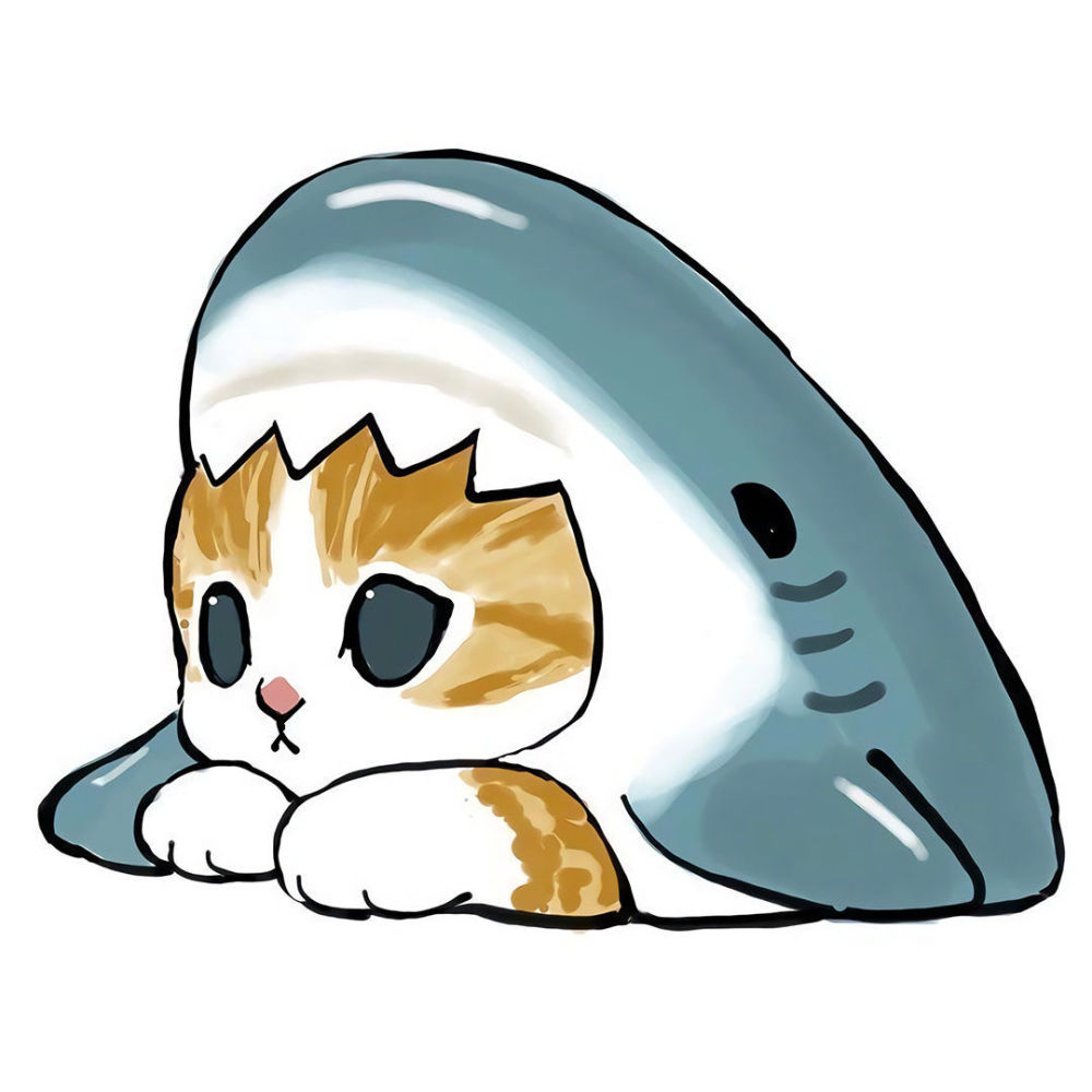 鯊魚貓