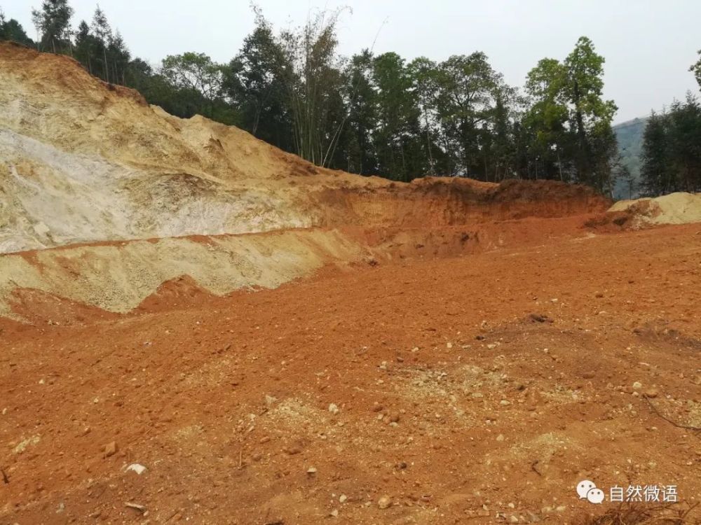 私采偷采风化砂芒市三人被罚