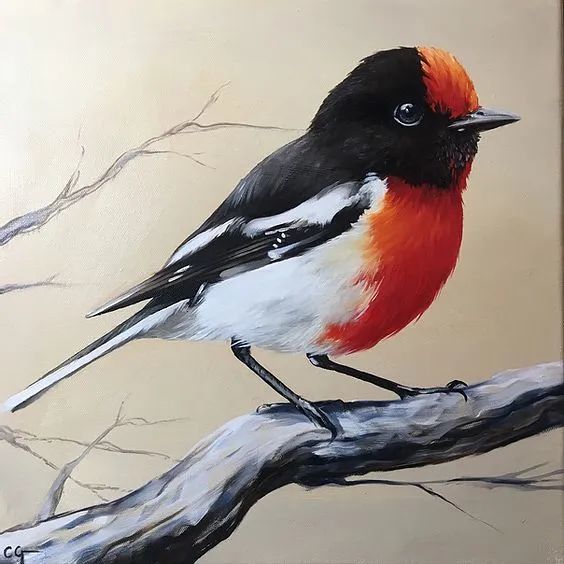 自学成才的美女画家,用超写实油画,来表达她对野生动物的爱_腾讯新闻