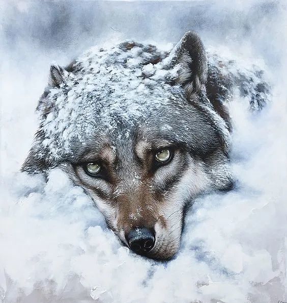 自学成才的美女画家,用超写实油画,来表达她对野生动物的爱_腾讯新闻