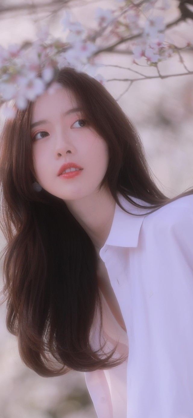 氛围感樱花粉气质美女写真高清壁纸