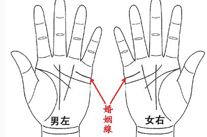 小指|感情线|断掌|面相|结婚|婚姻线|滴天居士|宫丰隆|婚姻|手相