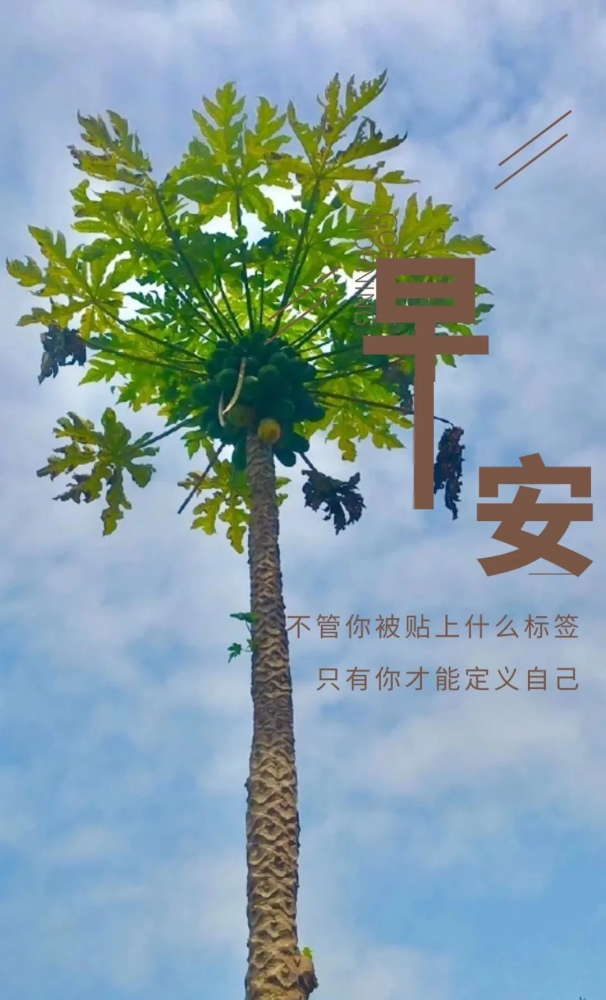 10月21日早安心语正能量语录发朋友圈 微信早上好图片正能量大全