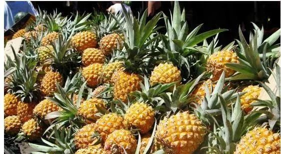 5月什么水果最好吃 这8种水果正当季 碰到了别错过 腾讯新闻