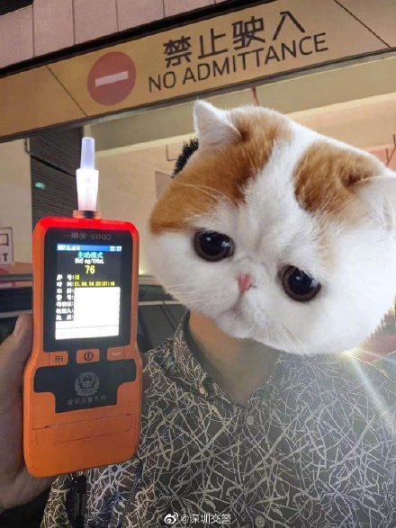 刚出门就被查酒驾无奈靓仔也落泪