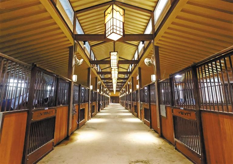 五陵原上 "白马度春风" 十四运会马术比赛场地启用