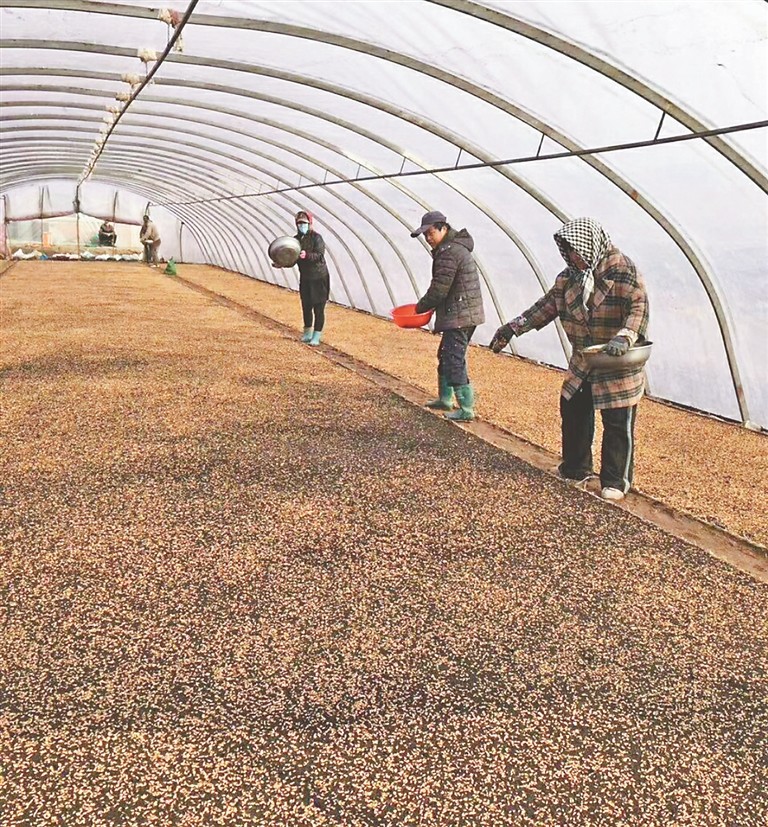 品牌叫响高端市场大米卖出最优价格于殿红种好一粒米致富一方人