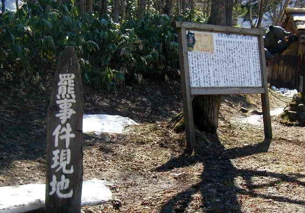 日本史上吃人最多的猛兽 看到照片都不敢相信 捕获后被分而食之 腾讯新闻