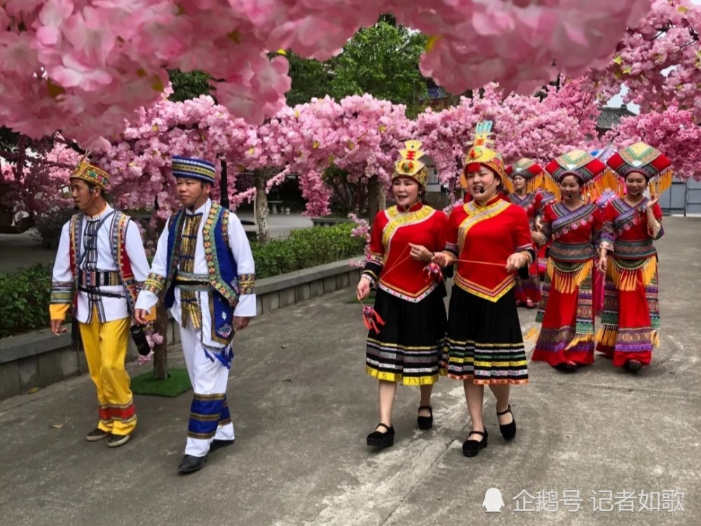 廣西三月三是什麼節日(廣西三月三是什麼節日有什麼風俗)