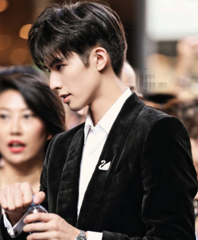 娱乐圈最具巴掌脸的15大男星肖战垫底榜首帅到不像样