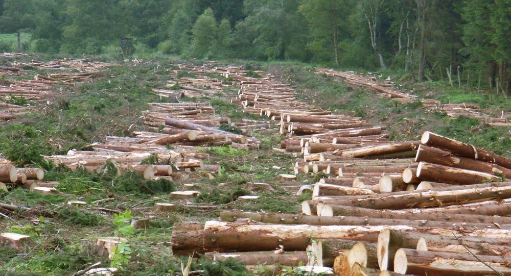wwf:欧盟的农产品进口导致350万公顷森林被砍伐