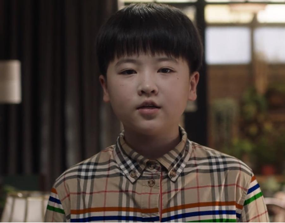 随后陆续参演了《两生花》《我爱男保姆》《如懿传》等作品,武泽锦熙