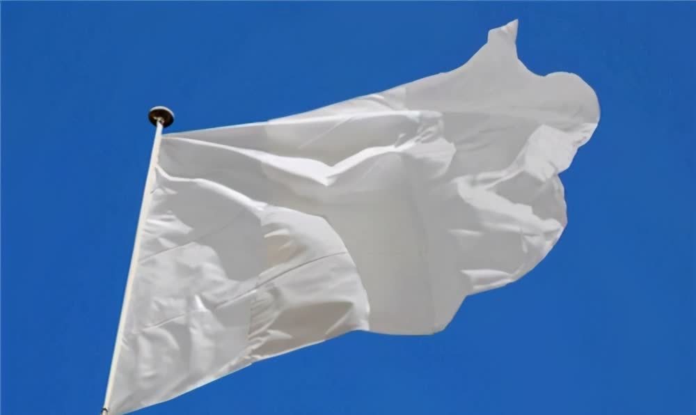 法国国旗白旗表情包图片