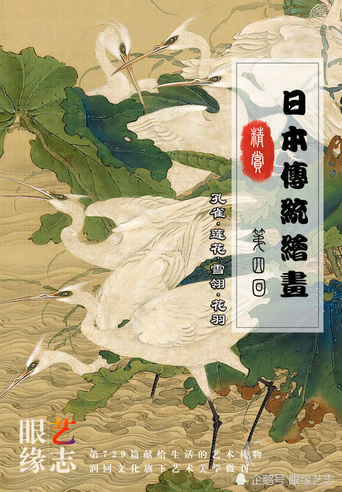 日本传统绘画精赏 孔雀 莲花 雪翎 花羽 腾讯新闻