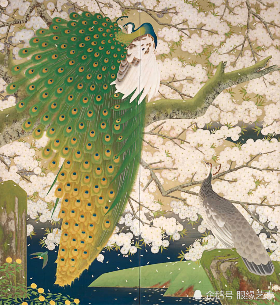 日本传统绘画精赏孔雀莲花雪翎花羽