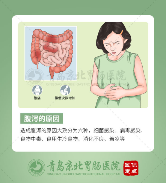 腸易激綜合徵|急性腹瀉|慢性腹瀉|腸道