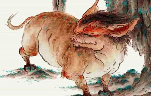 女子捡到无毛猪养几月后发现不对劲网友这是山海经神兽